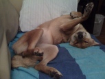 Sprawled